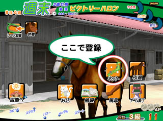 Net race help: the stable screen